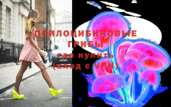 мяу мяу мука Мегион