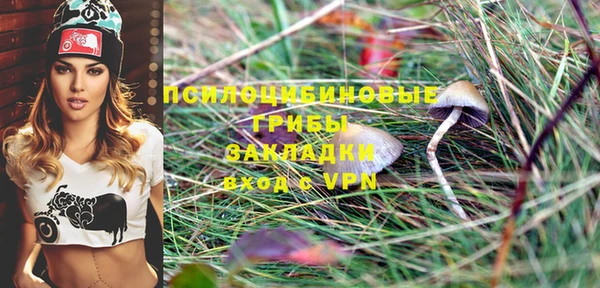 прущая мука Медногорск