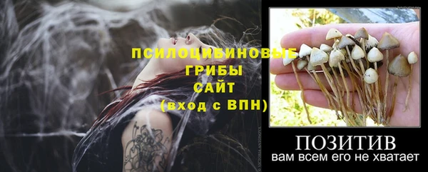 прущая мука Медногорск
